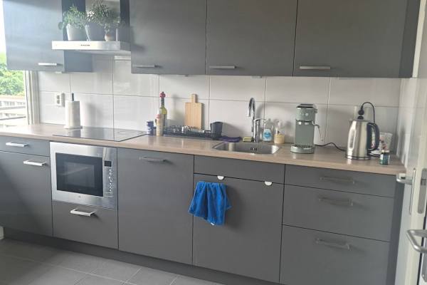 House sit in Utrecht, Netherlands