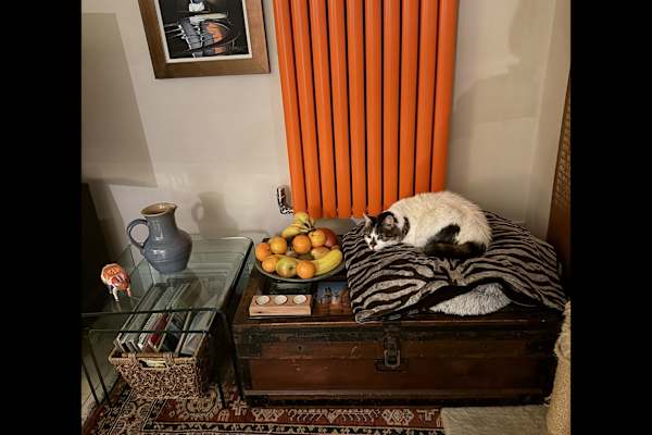 House sit in Burnham-on-Crouch, United Kingdom