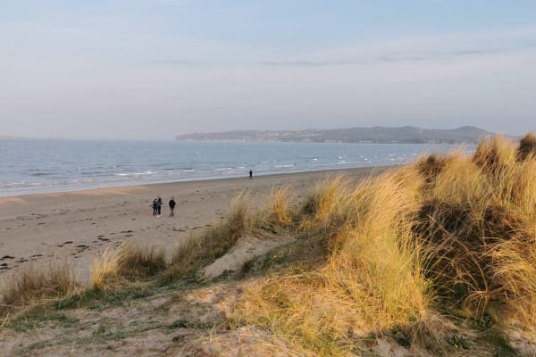 House sit in Dublin, Ireland