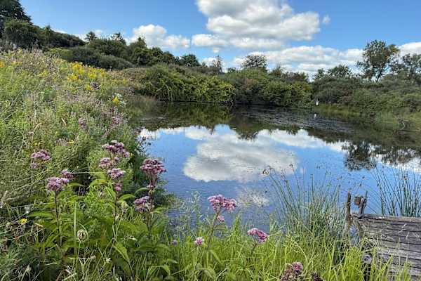 House sit in Canandaigua, NY, US