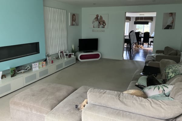 House sit in Ely, United Kingdom