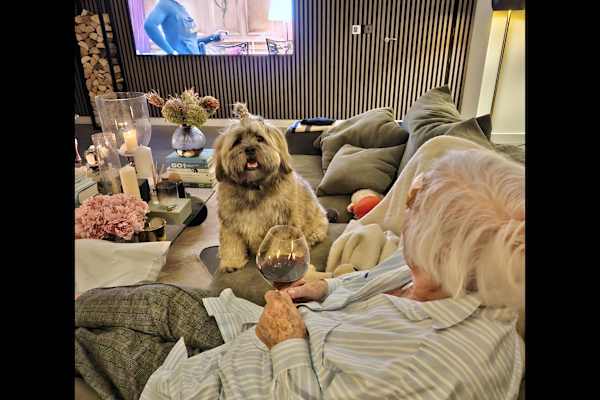 House sit in Lewes, United Kingdom