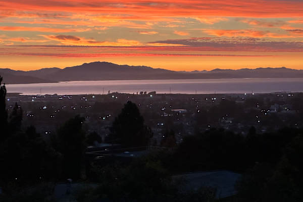 House sit in San Pablo, CA, US