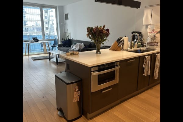 House sit in Brooklyn, NY, US