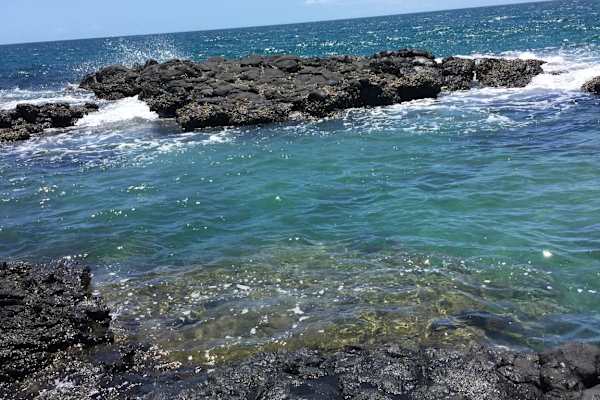 House sit in Innes Park, QLD, Australia