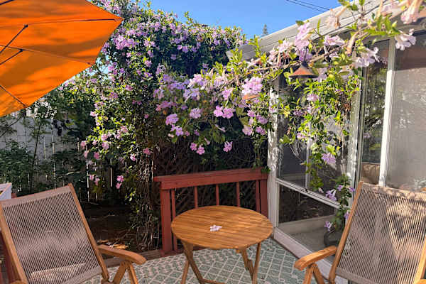 House sit in Sacramento, CA, US