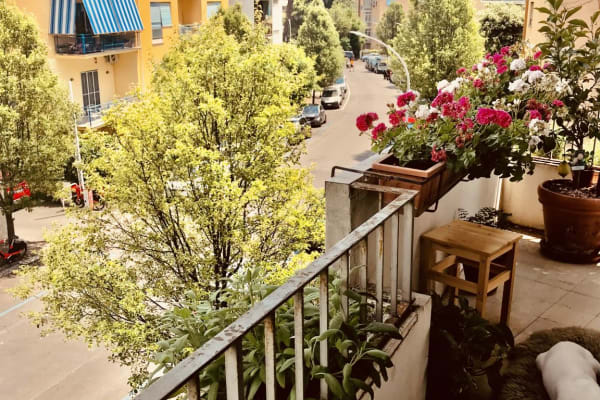 House sit in Rome, Italy