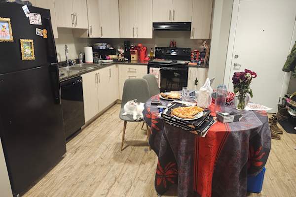 House sit in Courtenay, BC, Canada