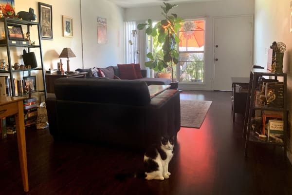 House sit in Los Feliz, CA, US