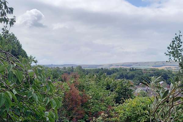 House sit in Lewes, United Kingdom