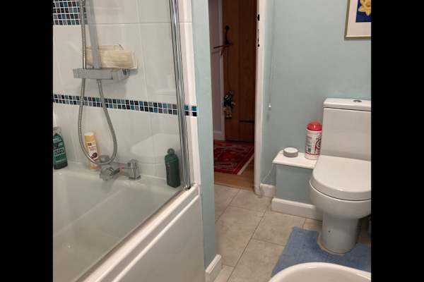 House sit in Wellington, United Kingdom