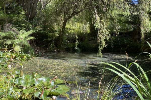 House sit in New Norfolk, TAS, Australia