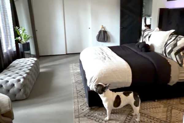 House sit in Palm Springs, CA, US