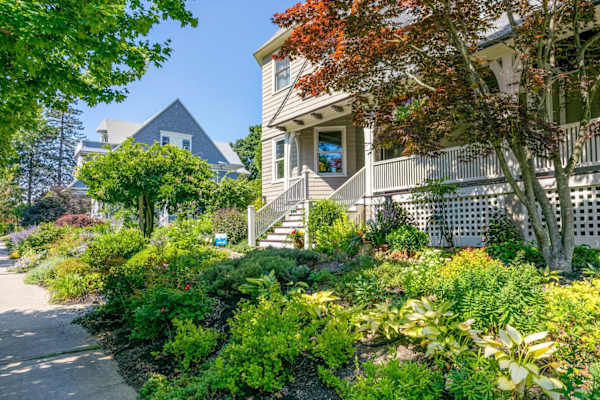 House sit in Portland, ME, US