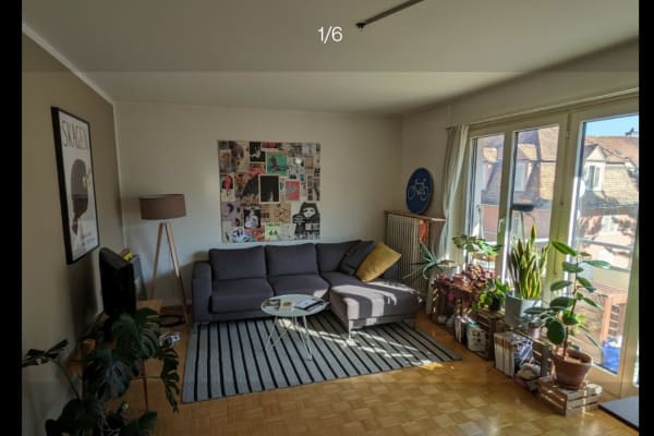 House sit in Zürich, Switzerland