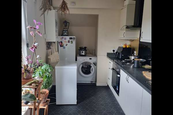 House sit in Edinburgh, United Kingdom