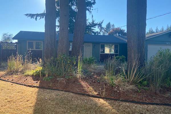 House sit in Bellingham, WA, US