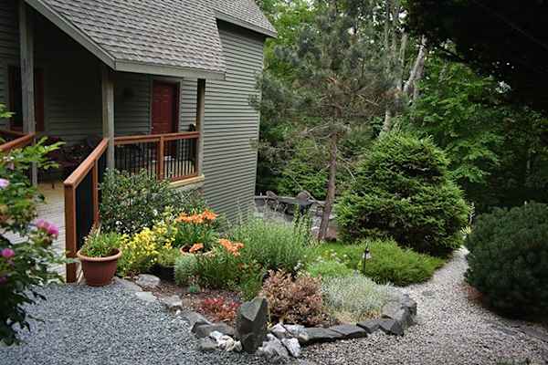 House sit in Halifax, NS, Canada