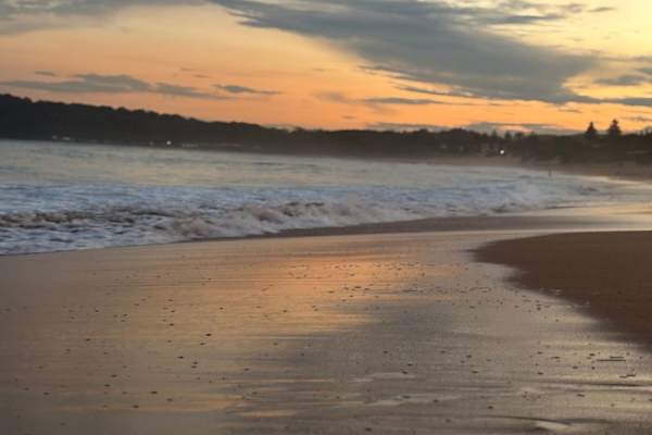 House sit in Central Coast, NSW, Australia