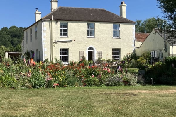 House sit in Wells, United Kingdom