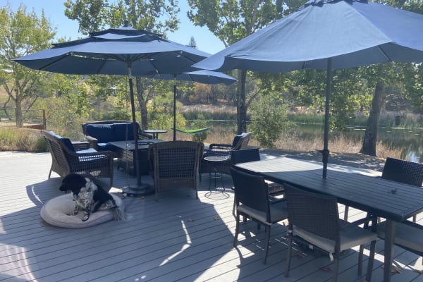 House sit in Windsor, CA, US