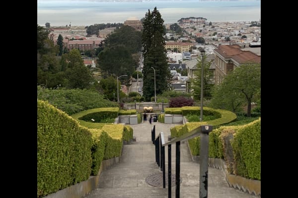 House sit in San Francisco, CA, US