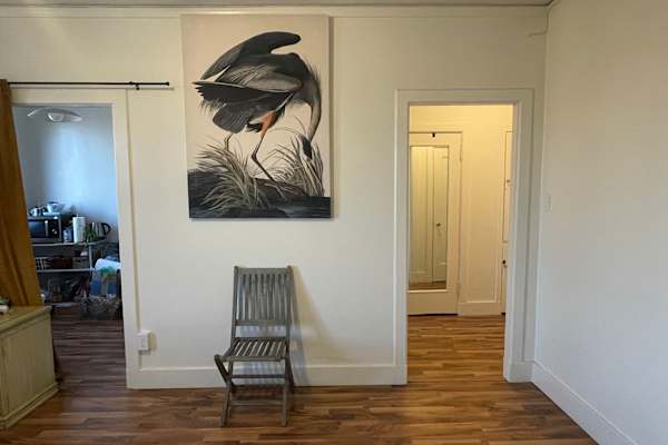House sit in Long Beach, CA, US