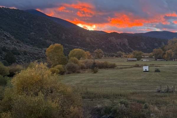 House sit in Amalia, NM, US