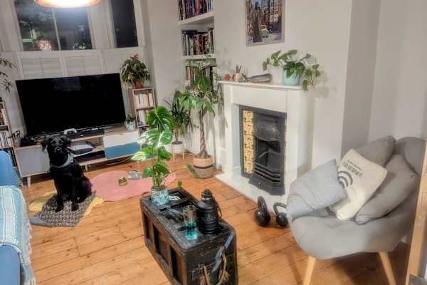 House sit in London, United Kingdom