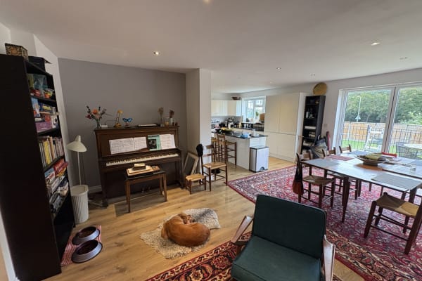 House sit in London, United Kingdom