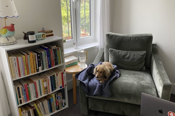 House sit in Highbury, United Kingdom