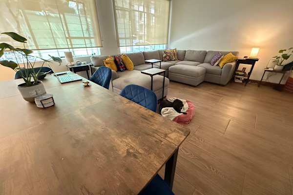 House sit in Mexico City, Mexico