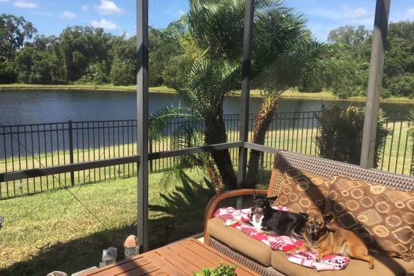 House sit in Bradenton, FL, US