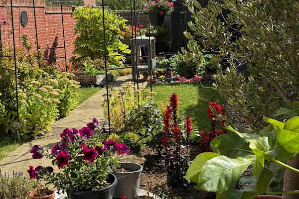 House sit in Daventry, United Kingdom