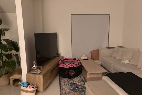 House sit in Sydney, NSW, Australia