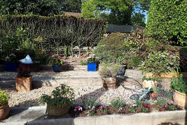 House sit in New Alresford, United Kingdom