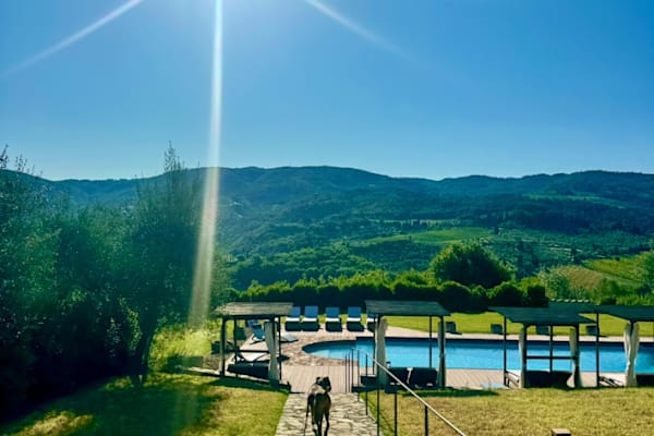 House sit in Greve in Chianti, Italy