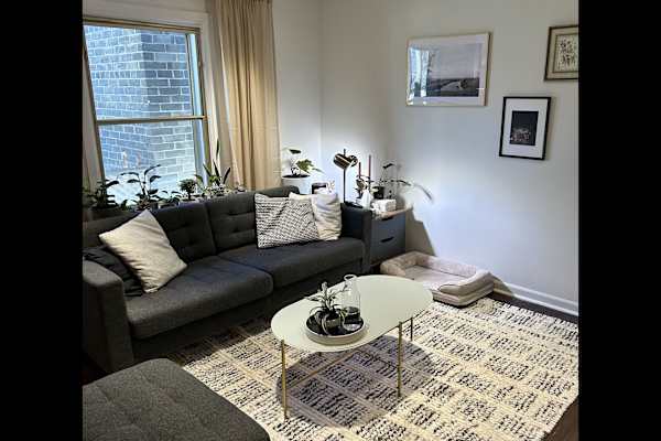 House sit in Toronto, ON, Canada