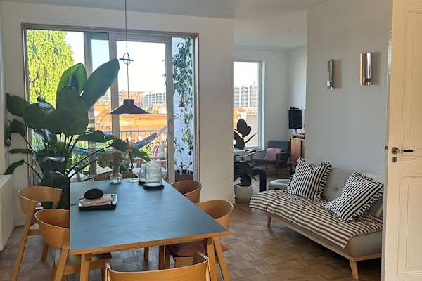 House sit in Scheveningen, Netherlands