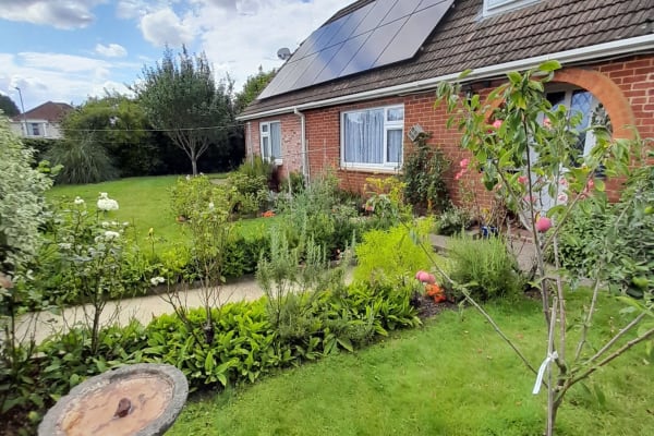 House sit in Salisbury, United Kingdom