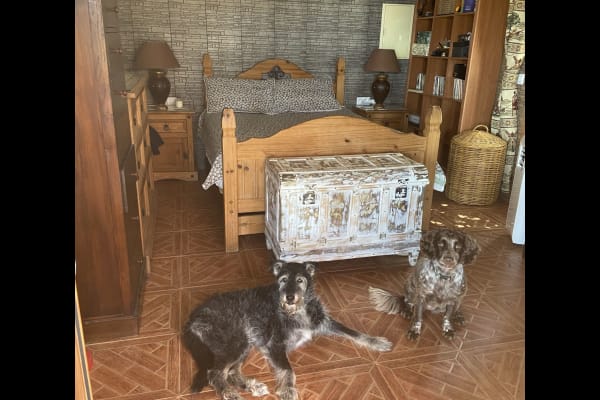 House sit in Frigiliana, Spain