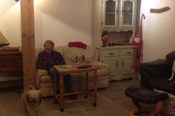 House sit in Buckfastleigh, United Kingdom