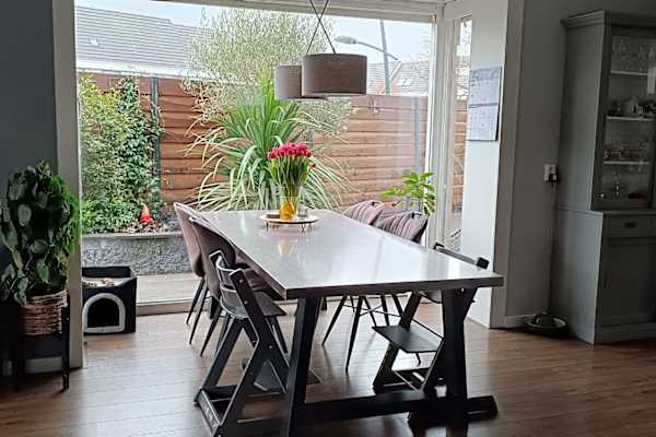 House sit in Assendelft, Netherlands