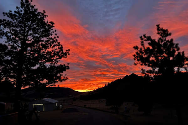 House sit in Guffey, CO, US