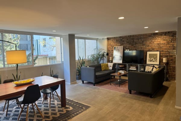 House sit in Mexico City, Mexico