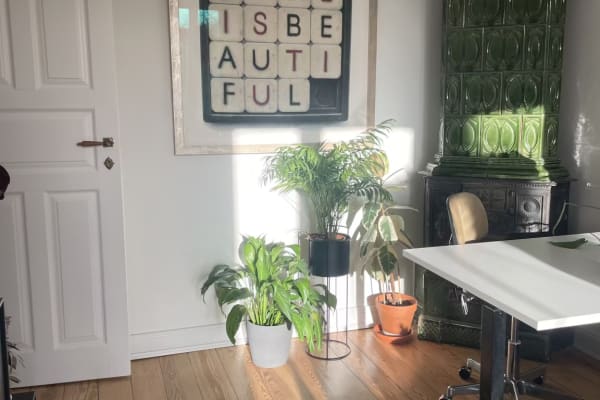 House sit in Hamburg, Germany