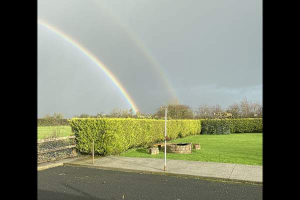 House sit in Newcastle West, Ireland