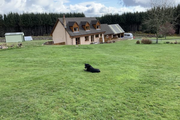 House sit in Craigellachie, United Kingdom