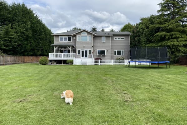 House sit in Kenmore, WA, US