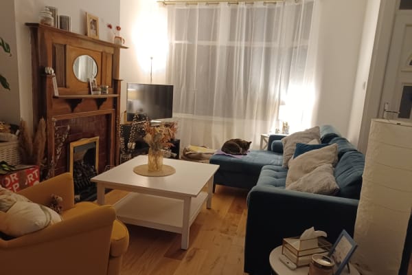 House sit in London, United Kingdom